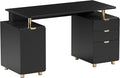 Elegant 57" W Executive Desk by TechniMobili