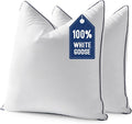 MIULEE Goose Feather Down 22x22 Pillow Insert Set of 2 by MIULEE