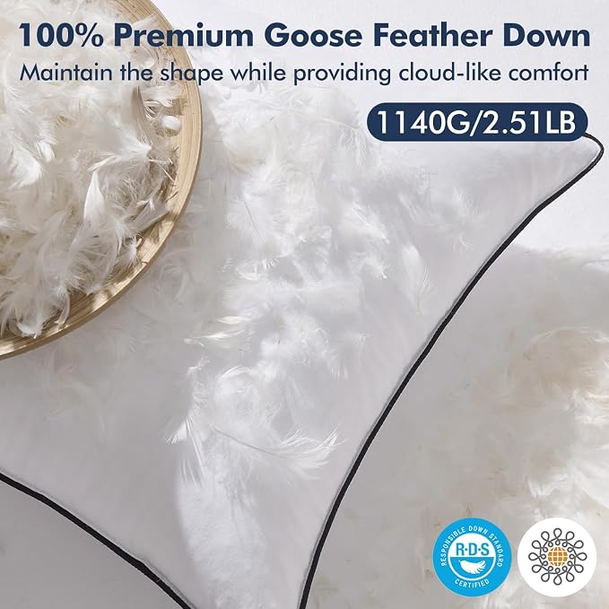 MIULEE Goose Feather Down 20x20 Pillow Insert Set of 2 - Image 2