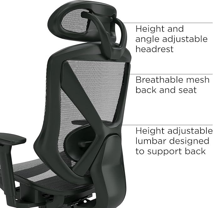 Staples Dexley Ergonomic Task Chair, Lumbar Support, Adjustable Height - Image 3