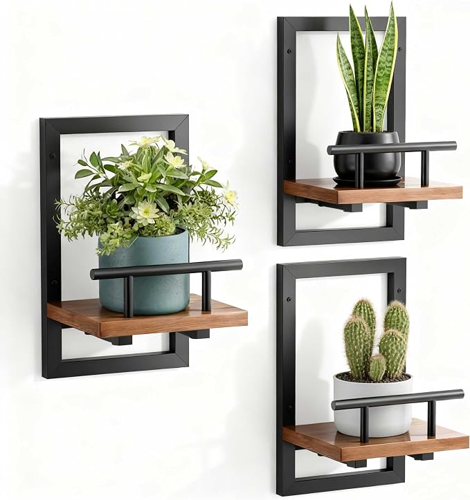 Sbosbo Floating Shelves for Wall, Plant Shelf Indoor, Wall Planters for Indoor by SBOSBO
