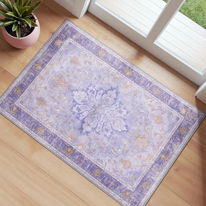 RELEANY Area Rugs 2'x3' Kitchen Rugs Entry Rug Small Rugs by RELEANY