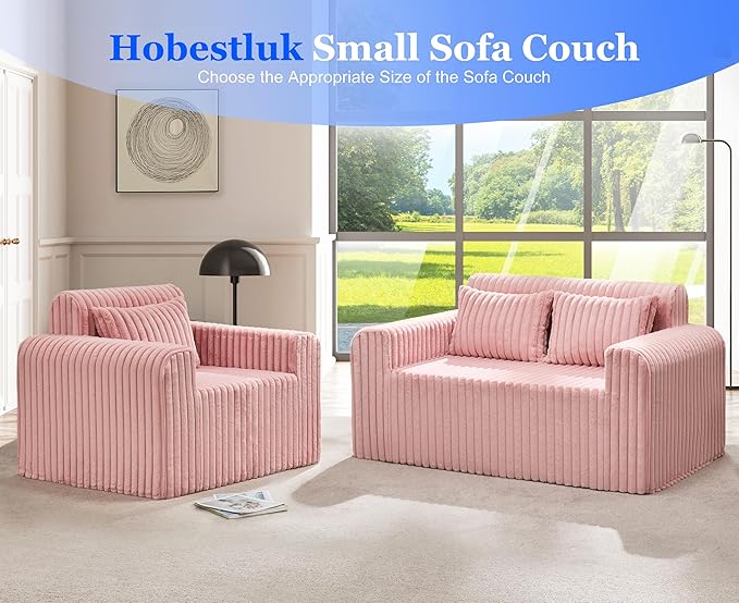Hobestluk Couch Sofa 2-Seater Foam Sofa Loveseat - Image 6